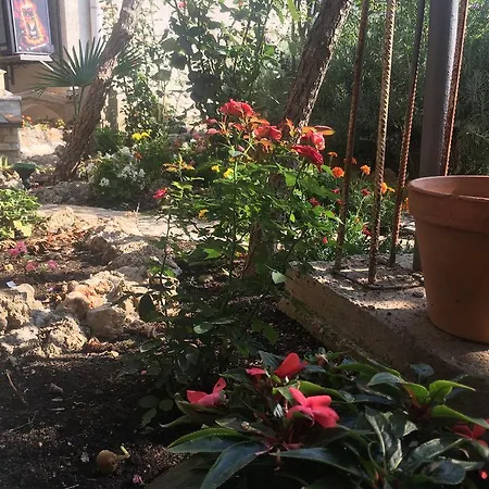 Vendégház Star Mostar